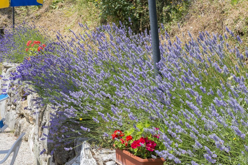 Agriturismo Monte Acuto Umbertide Bagian luar foto