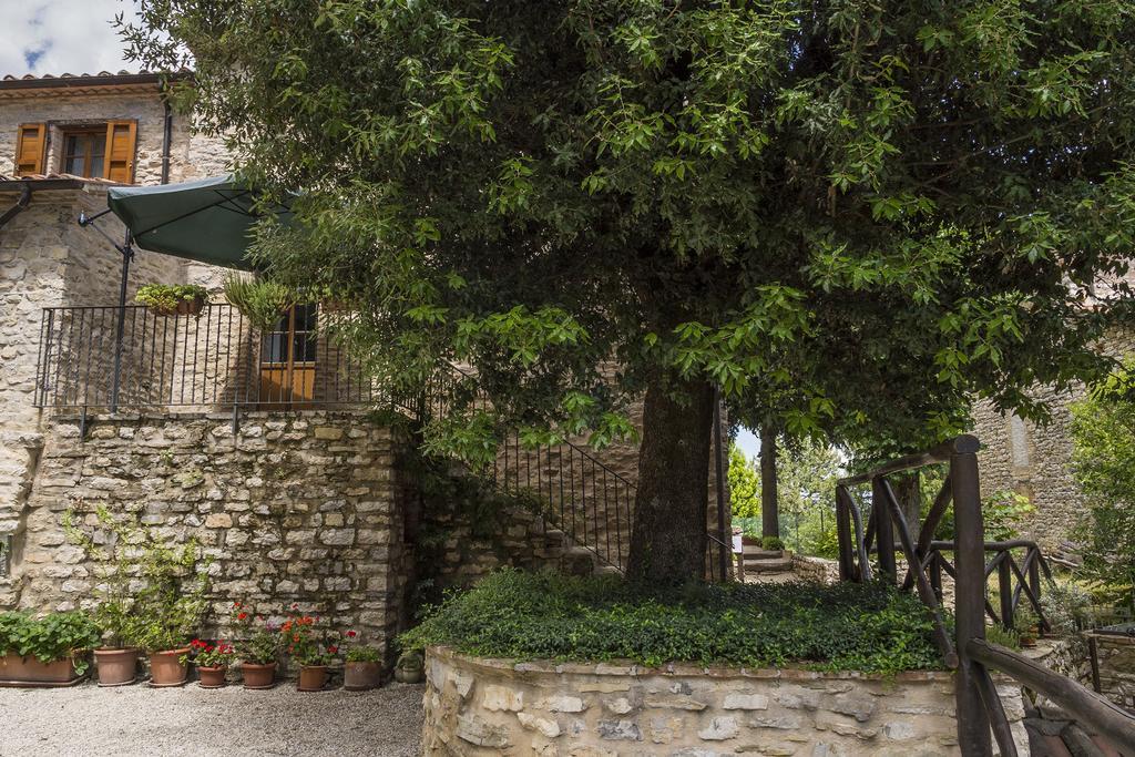 Agriturismo Monte Acuto Umbertide Ruang foto